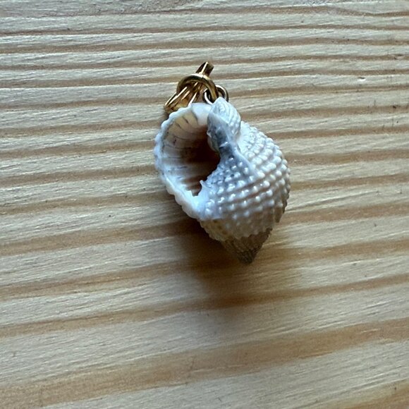 Seashell Pendant Charm With Gold-Tone Clip - Picture 2 of 3